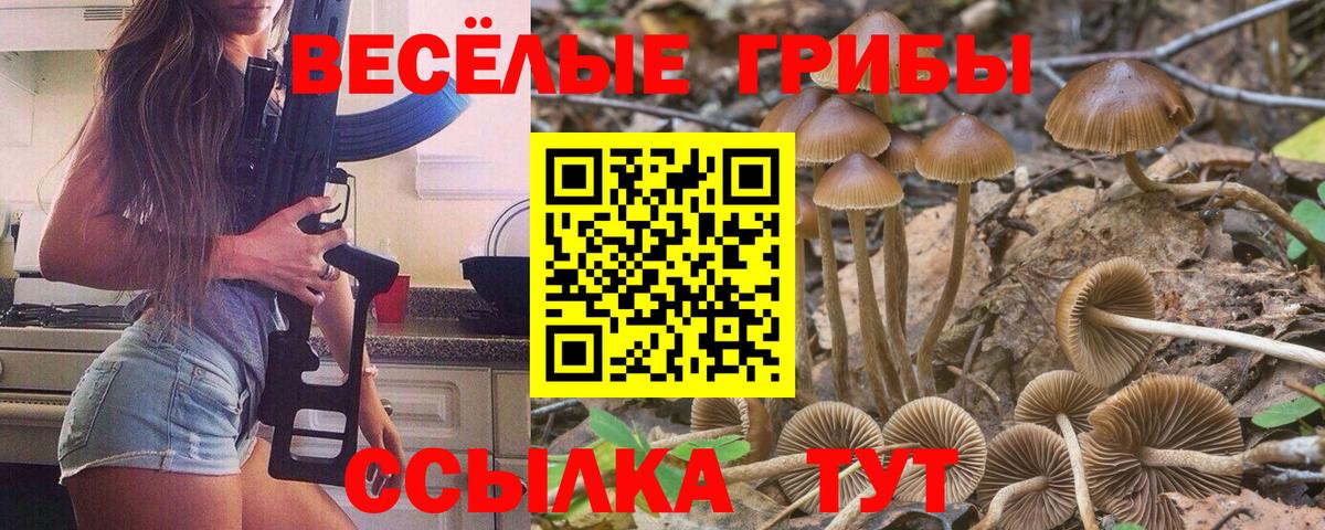 Домодедово  Галлюциногенные грибы мухоморы  Вход с VPN  Псилоцибиновые грибы мухоморы 