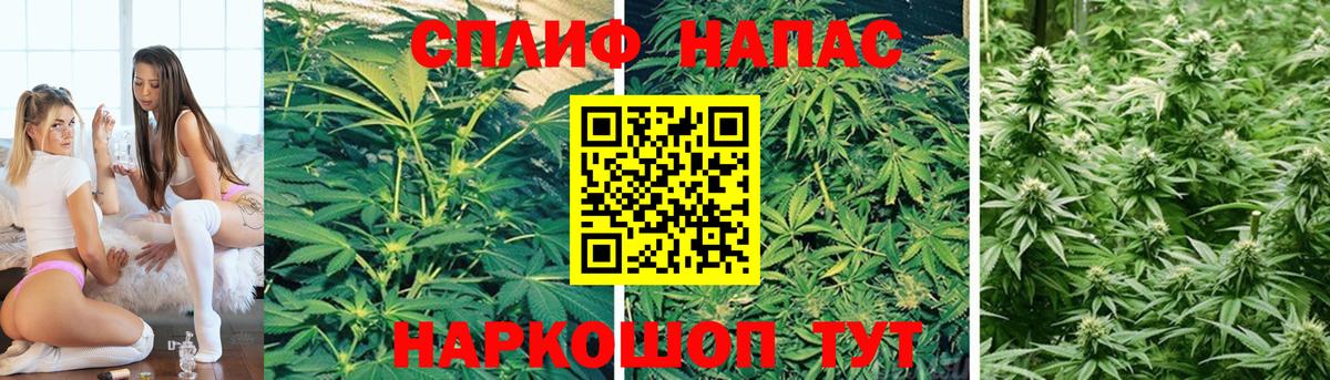 Конопля конопля  Шишки марихуана семена  Домодедово  Вход с VPN  Шишки марихуана семена 